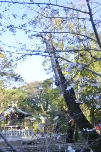 武蔵一宮氷川神社(埼玉県)