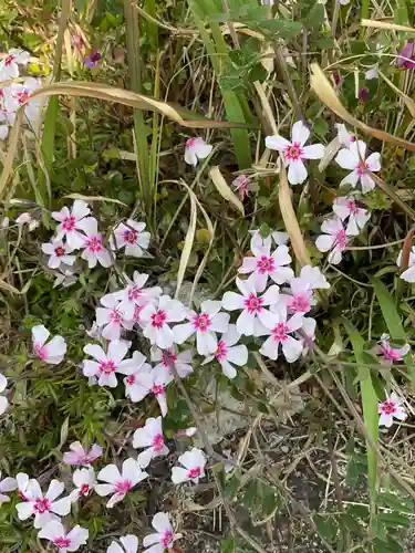 八事山 興正寺(愛知県)