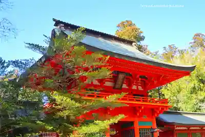香取神宮(千葉県)