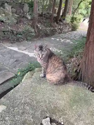 玉野御嶽神社(愛知県)