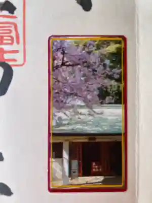 駒込富士神社(東京都)