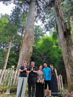 天鷹神社(岐阜県)