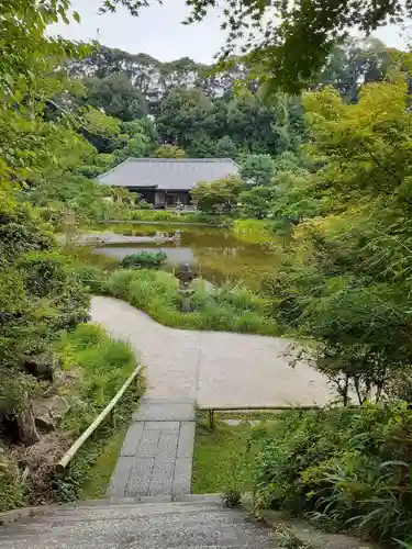 浄瑠璃寺(京都府)