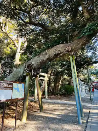 息栖神社(茨城県)