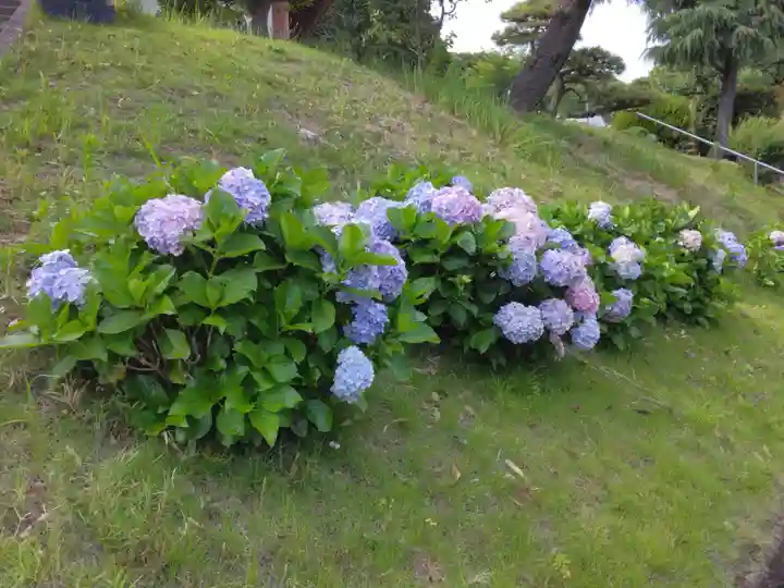 妙福寺(神奈川県)