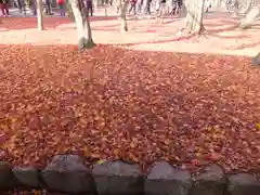 東福禅寺（東福寺）の自然