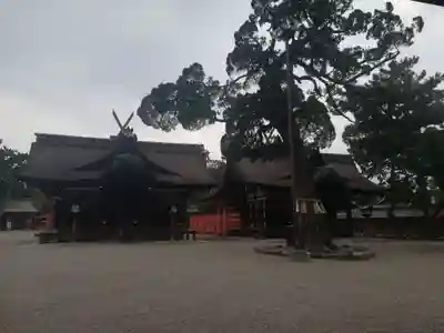 住吉大社の本殿・本堂