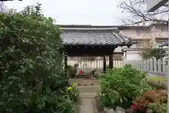 吒枳尼天（法伝寺）(京都府)