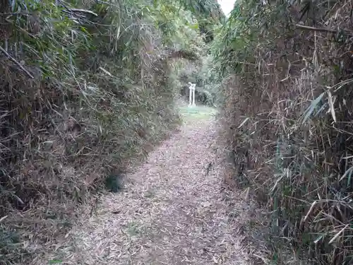 諏訪神社の自然