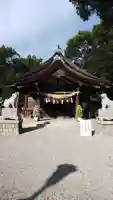 知立神社の本殿・本堂