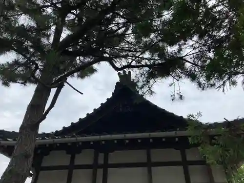 宝蔵寺の本殿・本堂