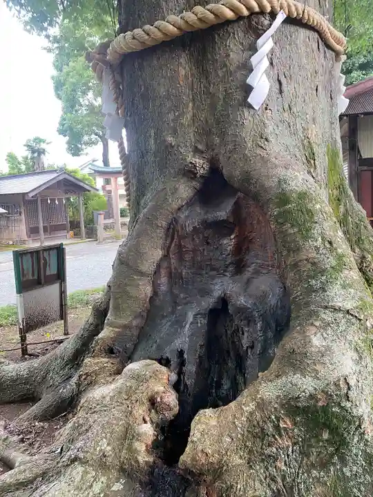 八坂神社(神奈川県)