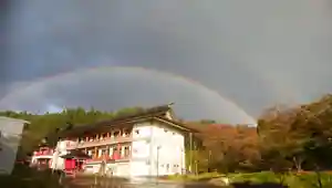 白狐山光星寺の自然(2021年03月30日(火) 10時15分41秒投稿)