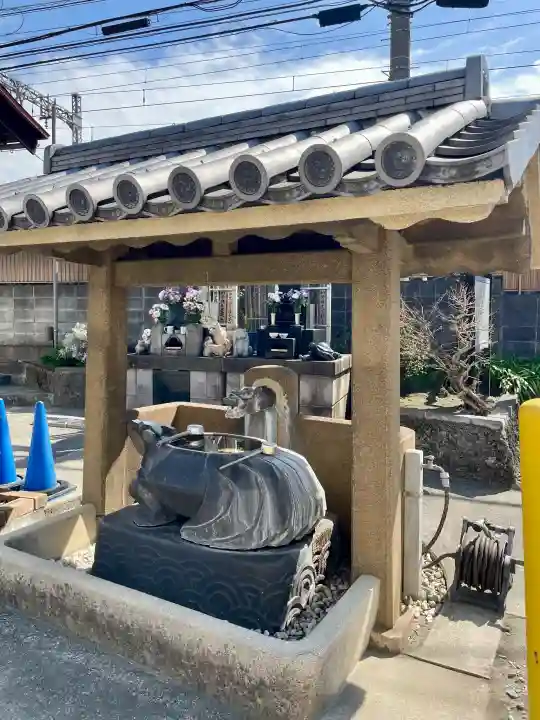 慶運寺の{uncategorized: "未分類", other: "その他", undefined: "問題あり", building: "その他建物", grave: "お墓", sacred_gate: "鳥居", guardian: "狛犬", statue: "像", buddha: "仏像", history: "歴史", nature: "自然", garden: "庭園", animal: "動物", pagoda: "塔", temizu: "手水舎", mountain_gate: "山門・神門", sanctuary: "本殿・本堂", subordinate: "末社・摂社", art: "芸術", scenery: "景色", jizo: "地蔵", ema: "絵馬", goshuin: "御朱印", omikuji: "おみくじ", items: "授与品その他", amulet: "お守り", goshuincho: "御朱印帳", eats: "食事", festival: "お祭り", votive_dance: "神楽", shichigosan: "七五三参", wedding: "結婚式", experience: "体験その他", initially: "初詣", around: "周辺", anti_infection: "感染症対策"}