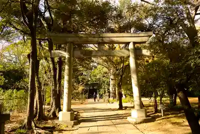 赤坂氷川神社の鳥居