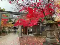 彌彦神社 (伊夜日子神社)の自然