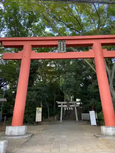 世田谷八幡宮の鳥居