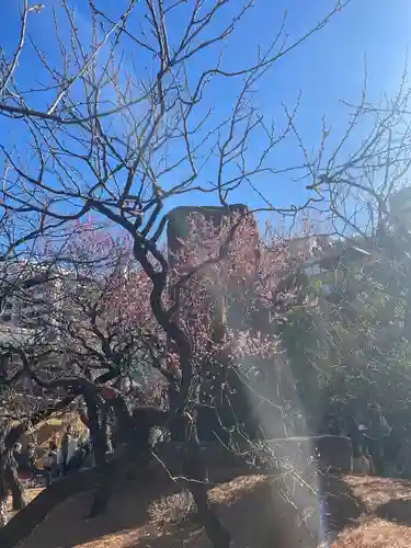 湯島天満宮(東京都)