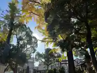 今井神社(千葉県)