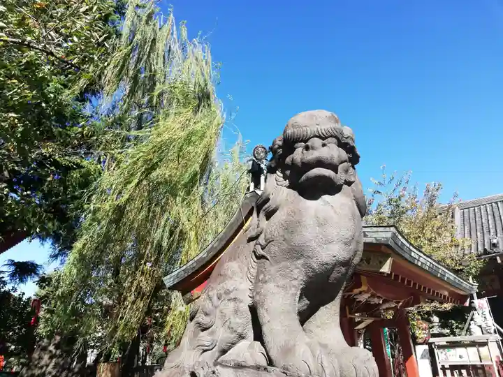浅草神社の狛犬