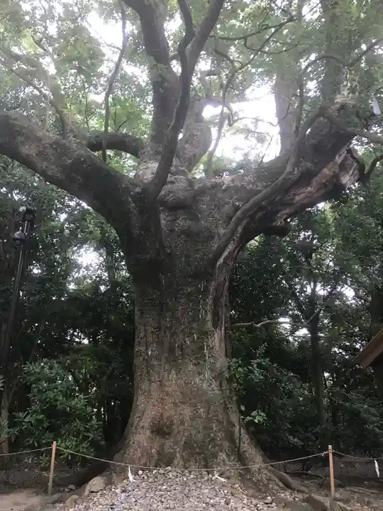 月夜見宮(豊受大神宮別宮)の自然