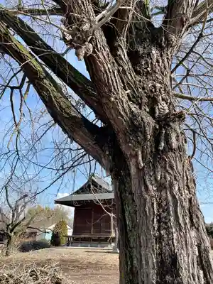 古泉馬頭観世音(栃木県)
