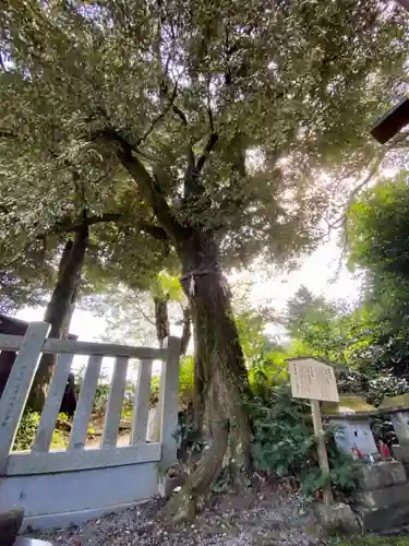 毛谷黒龍神社の建物その他