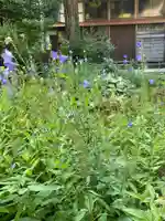 国上寺(新潟県)