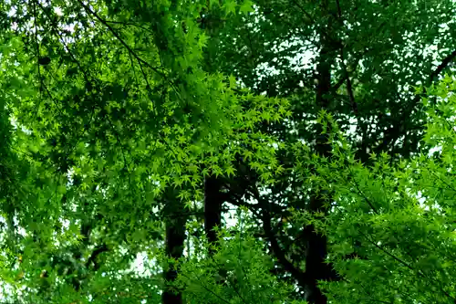針名神社(愛知県)