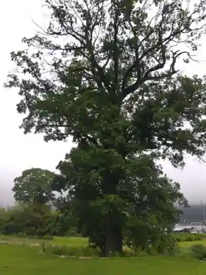 邇々杵神社(滋賀県)