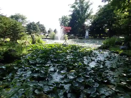 北海道護國神社の庭園