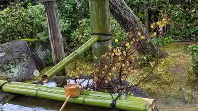 正法寺(京都府)