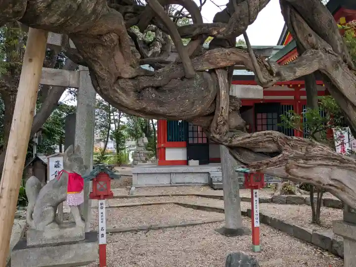 豊藤稲荷神社の{uncategorized: "未分類", other: "その他", undefined: "問題あり", building: "その他建物", grave: "お墓", sacred_gate: "鳥居", guardian: "狛犬", statue: "像", buddha: "仏像", history: "歴史", nature: "自然", garden: "庭園", animal: "動物", pagoda: "塔", temizu: "手水舎", mountain_gate: "山門・神門", sanctuary: "本殿・本堂", subordinate: "末社・摂社", art: "芸術", scenery: "景色", jizo: "地蔵", ema: "絵馬", goshuin: "御朱印", omikuji: "おみくじ", items: "授与品その他", amulet: "お守り", goshuincho: "御朱印帳", eats: "食事", festival: "お祭り", votive_dance: "神楽", shichigosan: "七五三参", wedding: "結婚式", experience: "体験その他", initially: "初詣", around: "周辺", anti_infection: "感染症対策"}