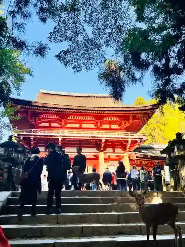 春日大社(奈良県)