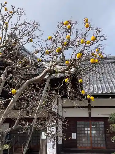 滋賀院門跡(滋賀県)