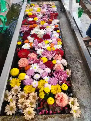 津島神社の手水舎