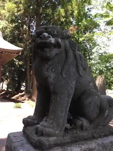 主石神社の狛犬