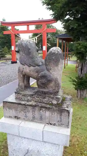 美瑛神社の狛犬