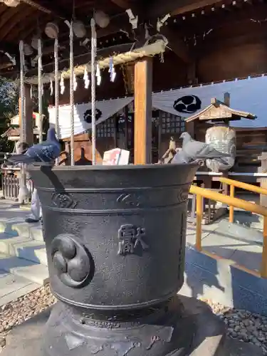 鎮守氷川神社の動物