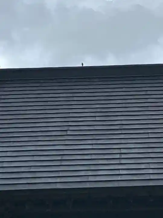 示現寺のその他建物