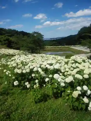 陽林寺(福島県)