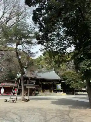 平塚八幡宮の{uncategorized: "未分類", other: "その他", undefined: "問題あり", building: "その他建物", grave: "お墓", sacred_gate: "鳥居", guardian: "狛犬", statue: "像", buddha: "仏像", history: "歴史", nature: "自然", garden: "庭園", animal: "動物", pagoda: "塔", temizu: "手水舎", mountain_gate: "山門・神門", sanctuary: "本殿・本堂", subordinate: "末社・摂社", art: "芸術", scenery: "景色", jizo: "地蔵", ema: "絵馬", goshuin: "御朱印", omikuji: "おみくじ", items: "授与品その他", amulet: "お守り", goshuincho: "御朱印帳", eats: "食事", festival: "お祭り", votive_dance: "神楽", shichigosan: "七五三参", wedding: "結婚式", experience: "体験その他", initially: "初詣", around: "周辺", anti_infection: "感染症対策"}
