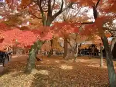 東福禅寺（東福寺）(京都府)