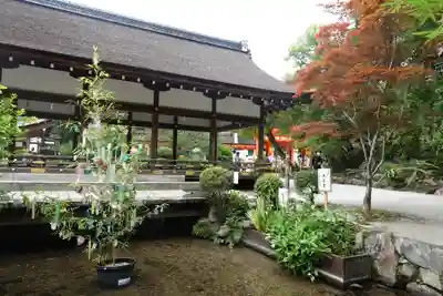 賀茂別雷神社（上賀茂神社）(京都府)