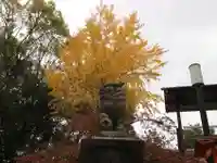八坂神社(祇園さん)の狛犬