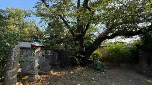 光明寺(神奈川県)