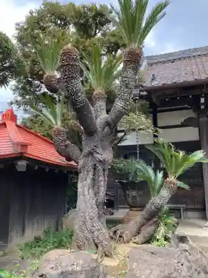 吉祥寺(千葉県)