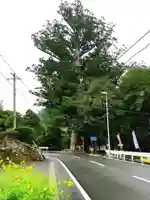 武速神社の周辺