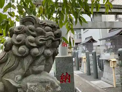 荻窪白山神社の狛犬