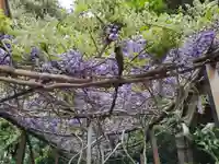 新宮神社の自然